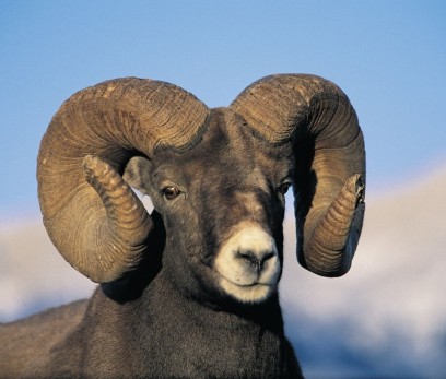 Spektakuläres Westkanada